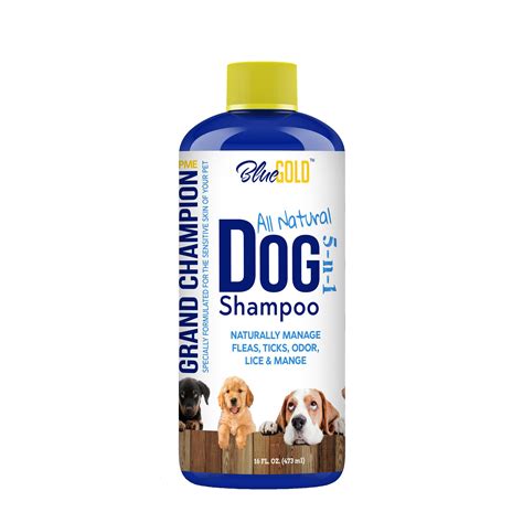 How to Use Nico's Dog Shampoo